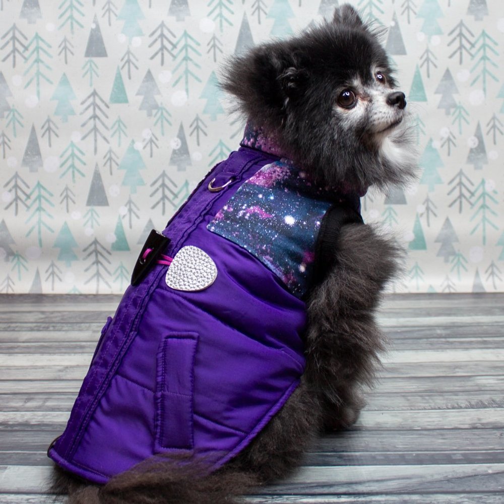 Thread 9 | Galaxy Perfect Puffer Dog Coat | Small & Medium Dogs